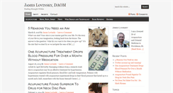 Desktop Screenshot of jameslovinsky.com